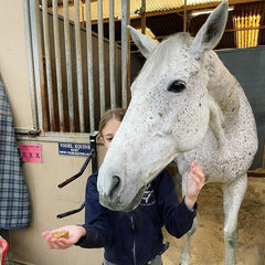 Bake at Home Horse Treats - Apple Flavor