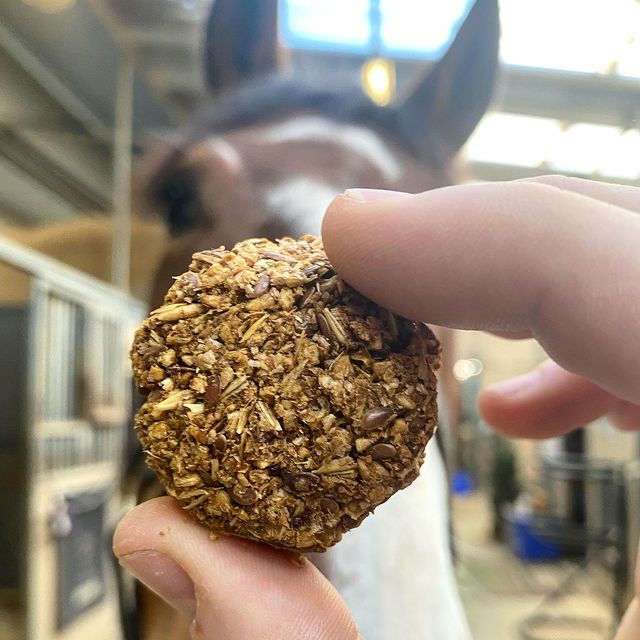 Bake at Home Horse Treats - Peppermint Flavor