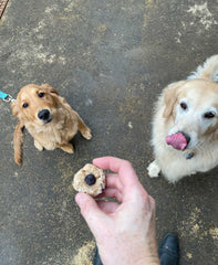 Bake at Home Dog Treats - Sweet Potato & Peanut Butter Flavor