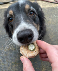Bake at Home Dog Treats - Sweet Potato & Peanut Butter Flavor