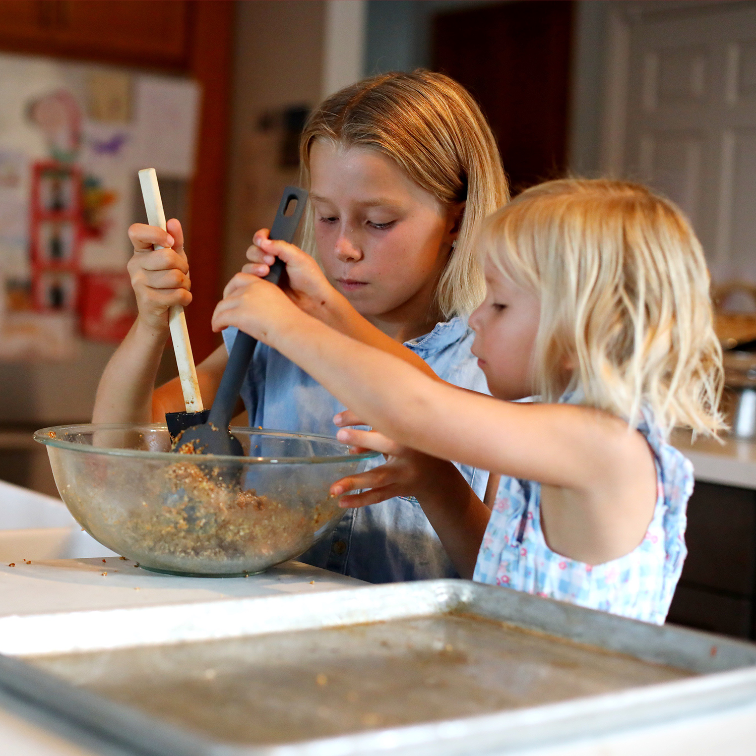 Bake at Home Horse Treats - Carrot Flavor