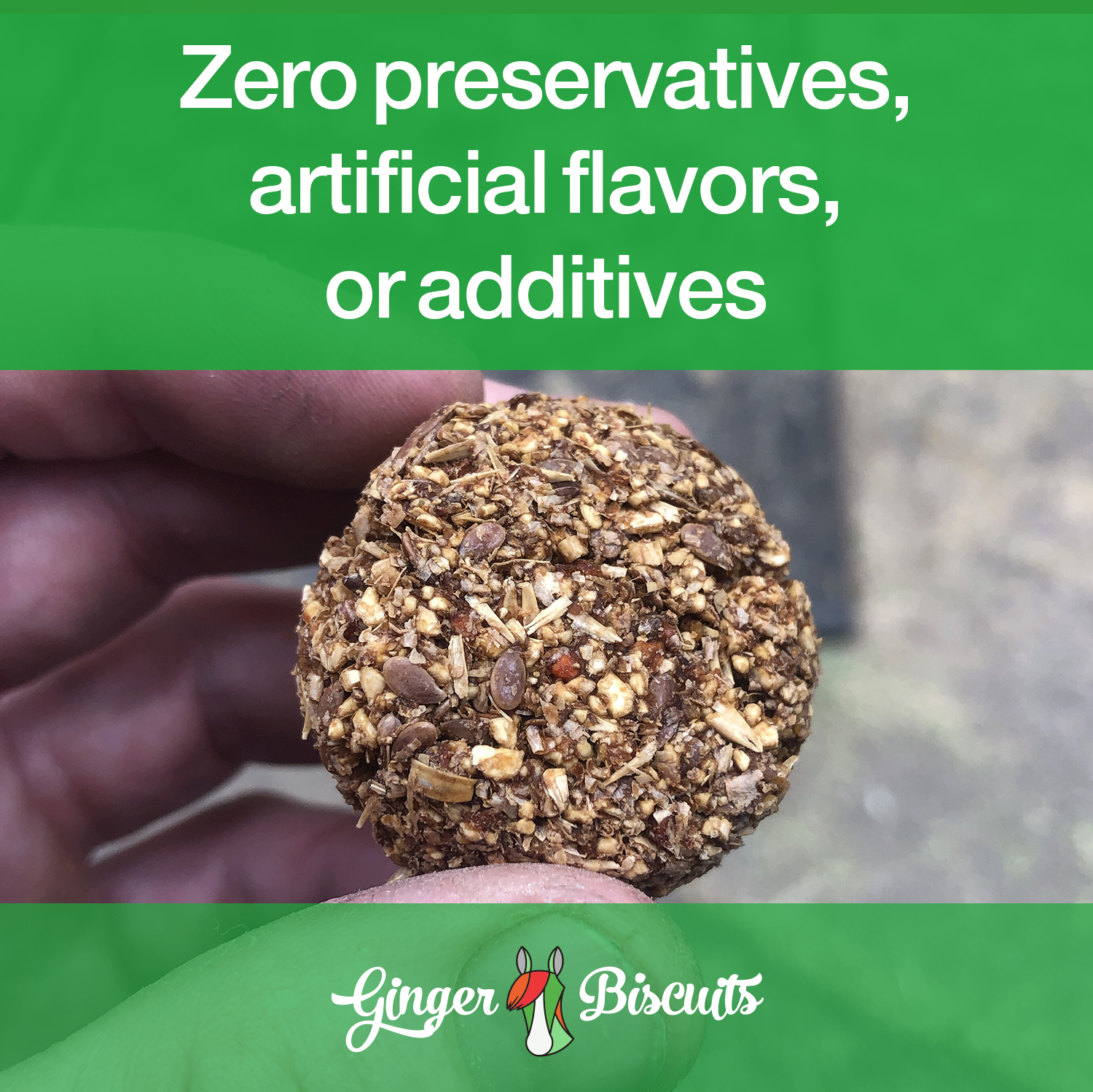 Bake at Home Horse Treats - Carrot Flavor